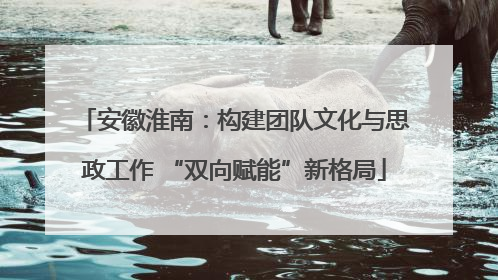 安徽淮南：构建团队文化与思政工作 “双向赋能”新格局