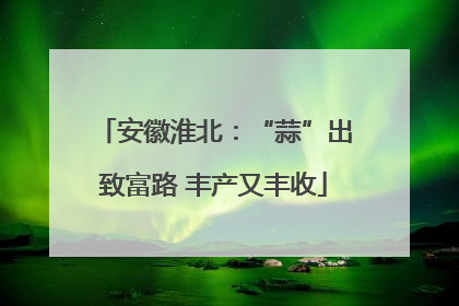 安徽淮北：“蒜”出致富路 丰产又丰收