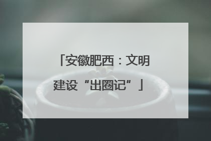 安徽肥西：文明建设“出圈记”