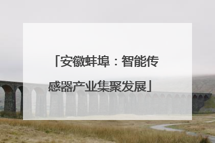 安徽蚌埠：智能传感器产业集聚发展