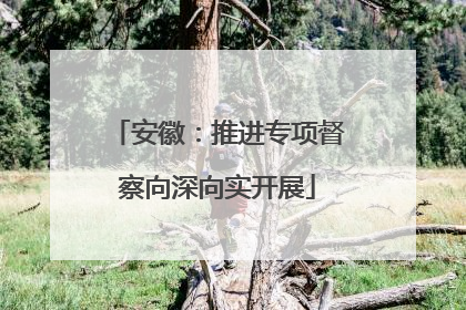 安徽：推进专项督察向深向实开展