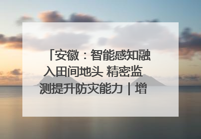 安徽：智能感知融入田间地头 精密监测提升防灾能力｜增发国债气象项目落地见效系列报道