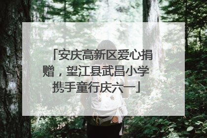 安庆高新区爱心捐赠，望江县武昌小学携手童行庆六一