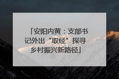 安阳内黄：支部书记外出“取经”探寻乡村振兴新路径