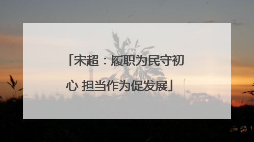 宋超：履职为民守初心 担当作为促发展