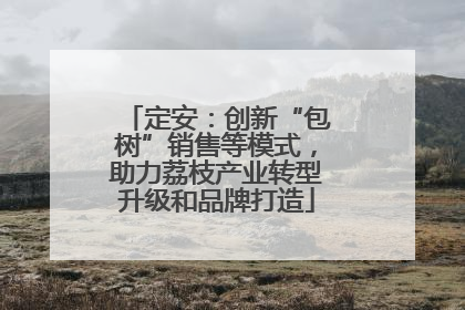 定安：创新“包树”销售等模式，助力荔枝产业转型升级和品牌打造