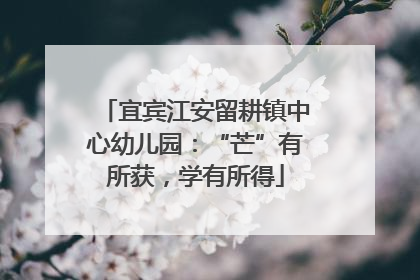 宜宾江安留耕镇中心幼儿园：“芒”有所获，学有所得