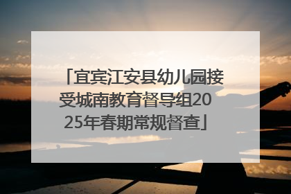 宜宾江安县幼儿园接受城南教育督导组2025年春期常规督查