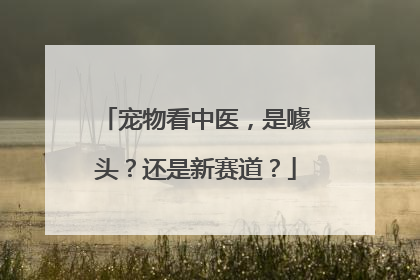 宠物看中医，是噱头？还是新赛道？