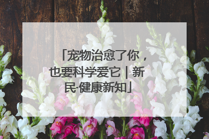 宠物治愈了你，也要科学爱它｜新民·健康新知