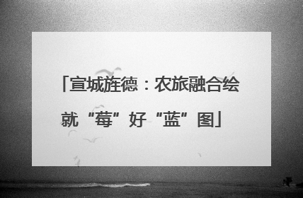 宣城旌德：农旅融合绘就“莓”好“蓝”图