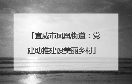 宣威市凤凰街道：党建助推建设美丽乡村