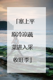 塞上平原冷凉蔬菜进入采收旺季