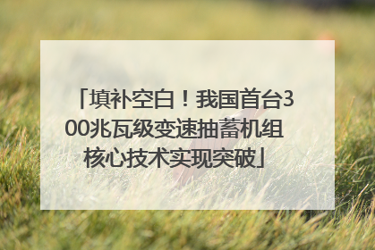 填补空白！我国首台300兆瓦级变速抽蓄机组核心技术实现突破