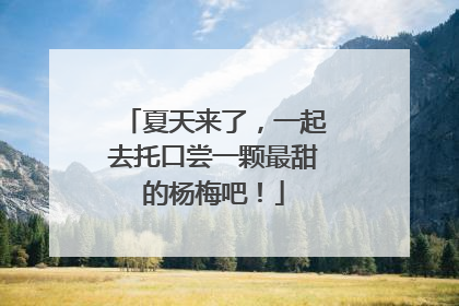夏天来了，一起去托口尝一颗最甜的杨梅吧！