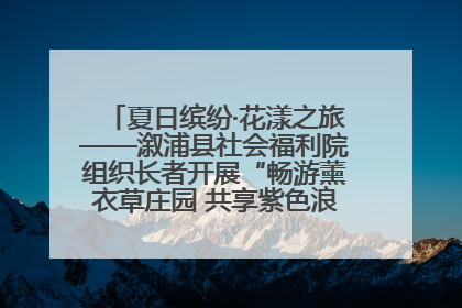 夏日缤纷·花漾之旅——溆浦县社会福利院组织长者开展“畅游薰衣草庄园 共享紫色浪漫”户外活动