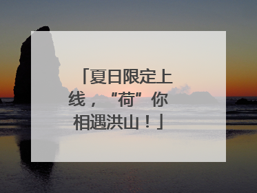 夏日限定上线，“荷”你相遇洪山！