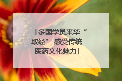 多国学员来华“取经” 感受传统医药文化魅力