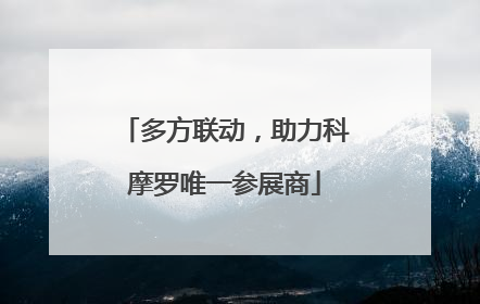 多方联动，助力科摩罗唯一参展商