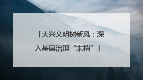 大兴文明树新风：深入基层治理“末梢”