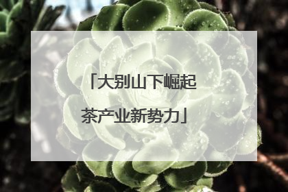 大别山下崛起茶产业新势力