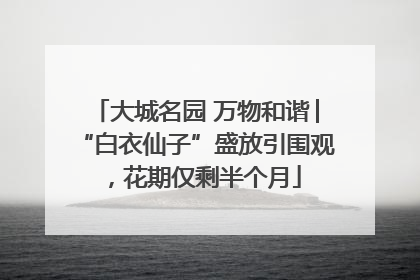 大城名园 万物和谐│“白衣仙子”盛放引围观，花期仅剩半个月