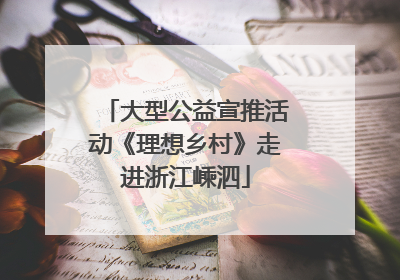 大型公益宣推活动《理想乡村》走进浙江嵊泗