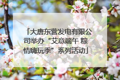大唐东营发电有限公司举办“艾意端午 粽情嗨玩季”系列活动
