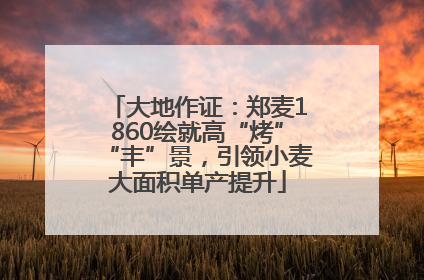 大地作证：郑麦1860绘就高“烤”“丰”景，引领小麦大面积单产提升