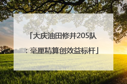大庆油田修井205队：毫厘精算创效益标杆