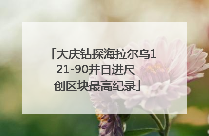 大庆钻探海拉尔乌121-90井日进尺 创区块最高纪录