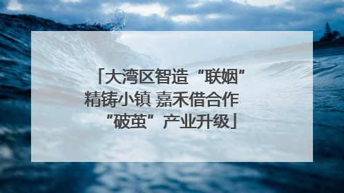 大湾区智造“联姻”精铸小镇 嘉禾借合作“破茧”产业升级