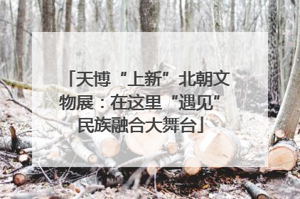 天博“上新”北朝文物展：在这里“遇见”民族融合大舞台