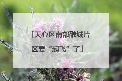 天心区南部融城片区要“起飞”了