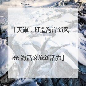 天津：打造海岸新风光 激活文旅新活力