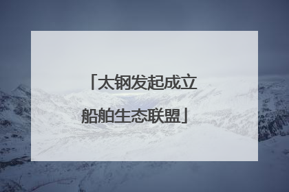 太钢发起成立船舶生态联盟