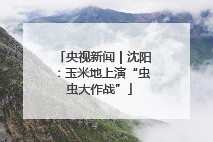 央视新闻｜沈阳：玉米地上演“虫虫大作战”