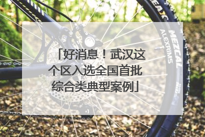 好消息！武汉这个区入选全国首批综合类典型案例