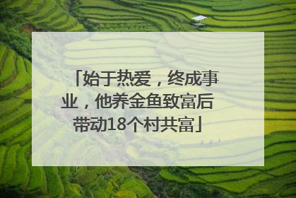 始于热爱，终成事业，他养金鱼致富后带动18个村共富