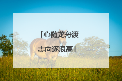 心随龙舟渡 志向逐浪高