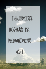志愿红筑防汛墙 保畅通暖司乘心