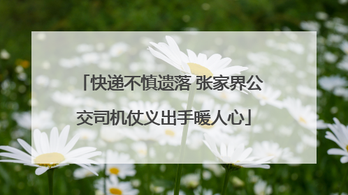 快递不慎遗落 张家界公交司机仗义出手暖人心