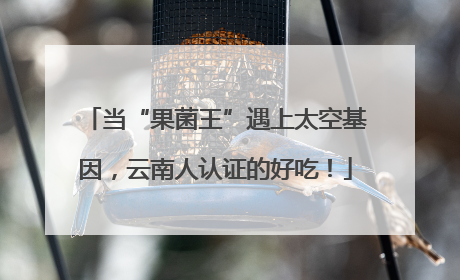 当“果菌王”遇上太空基因，云南人认证的好吃！