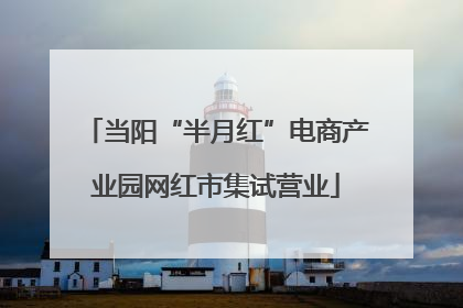 当阳“半月红”电商产业园网红市集试营业