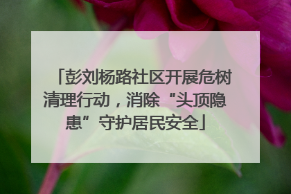 彭刘杨路社区开展危树清理行动，消除“头顶隐患”守护居民安全