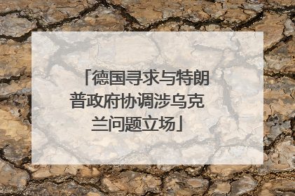 德国寻求与特朗普政府协调涉乌克兰问题立场