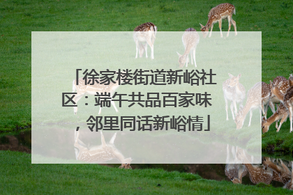 徐家楼街道新峪社区：端午共品百家味，邻里同话新峪情