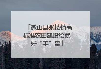 微山县张楼镇高标准农田建设绘就好“丰”景