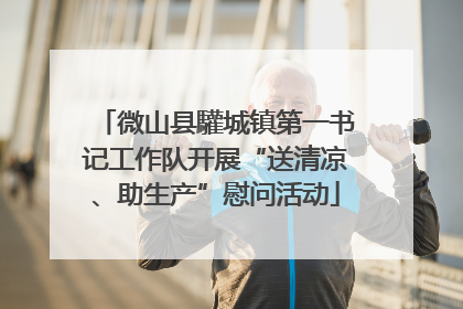 微山县驩城镇第一书记工作队开展“送清凉、助生产”慰问活动