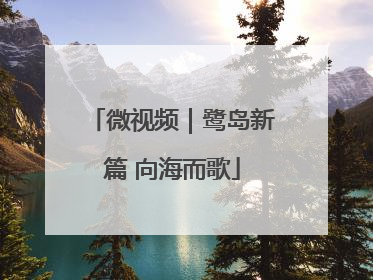 微视频｜鹭岛新篇 向海而歌